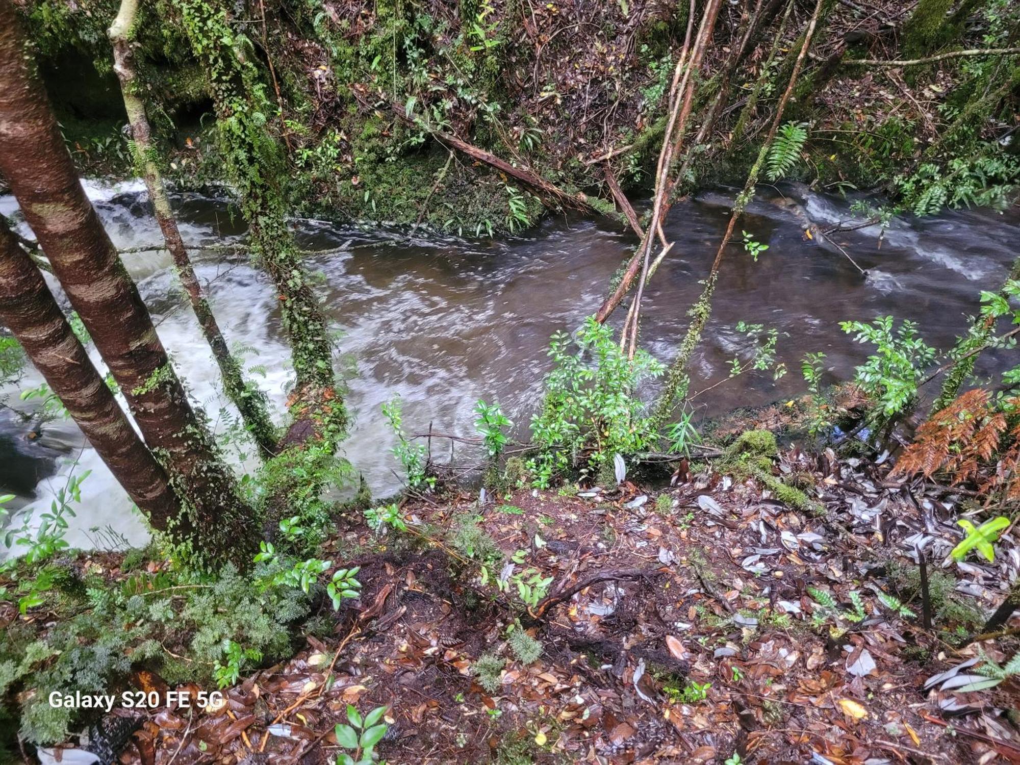 Cabanas El Farolito Puerto Montt Zewnętrze zdjęcie